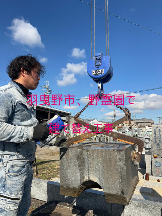 画像244