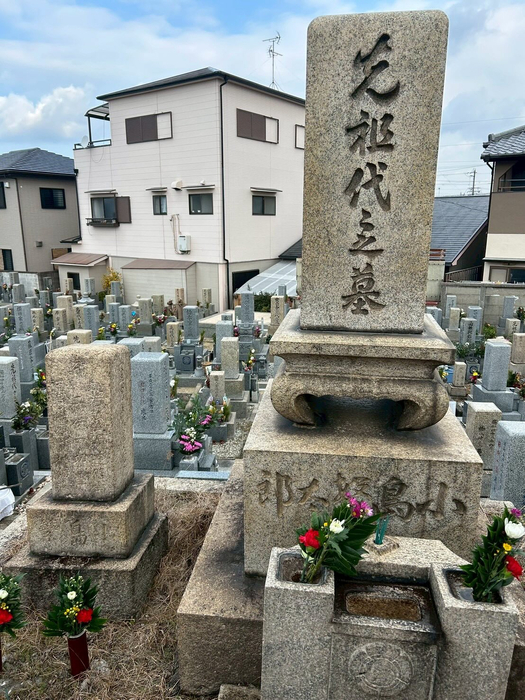画像251