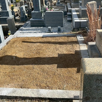 画像254