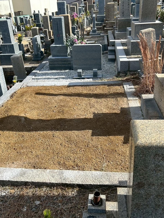 画像254