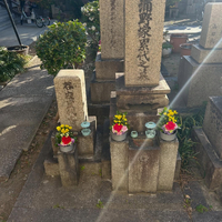 画像256
