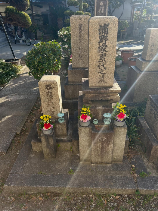 画像256
