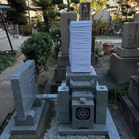 画像262