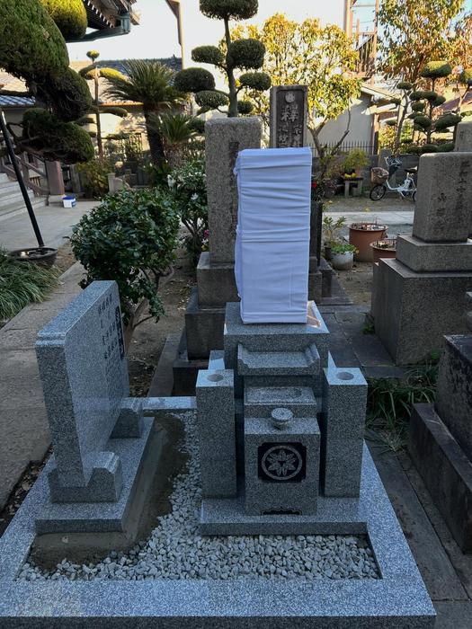 画像262
