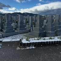 画像266