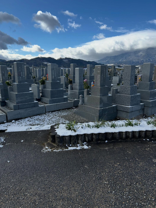 画像266