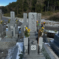 画像268