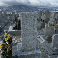 画像269