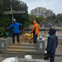 画像291