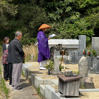 画像313