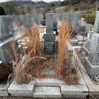 画像344
