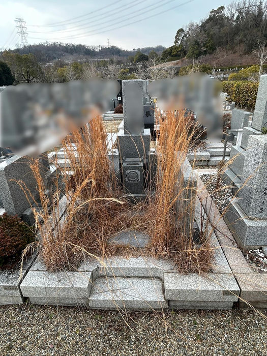 画像344