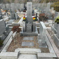 画像345