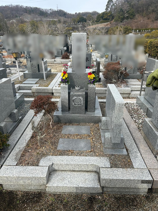 画像345