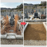 画像354