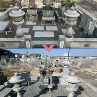画像356