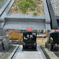 画像460