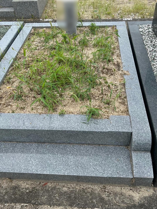 画像461