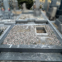 画像473