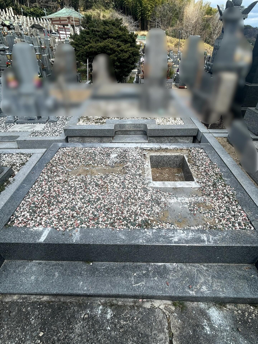 画像473