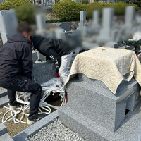 画像484
