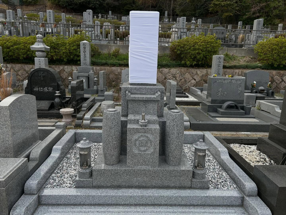画像486