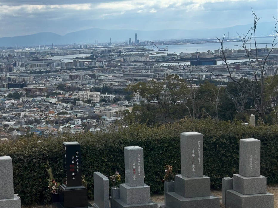 画像488