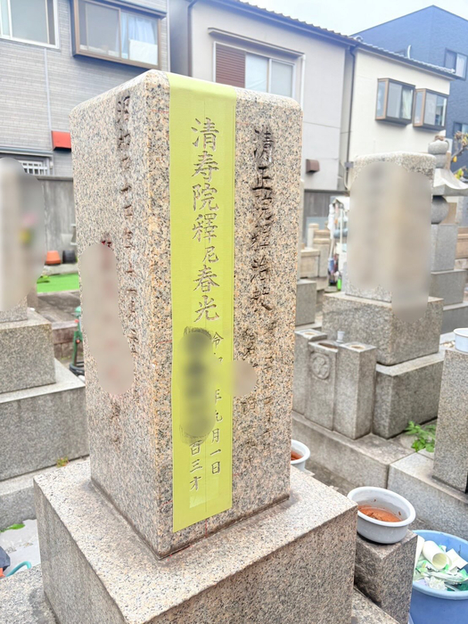 画像494