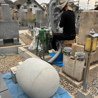 画像495