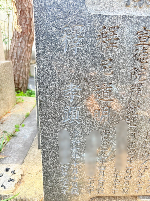 画像496