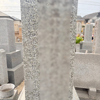 画像497