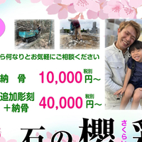 画像500