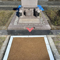 画像502