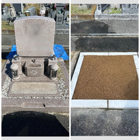 画像503