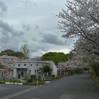 画像536