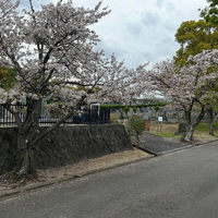 画像537