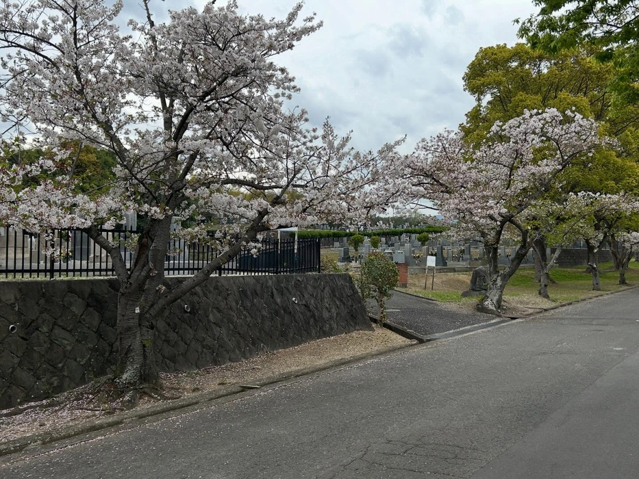 画像537
