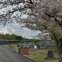 画像538