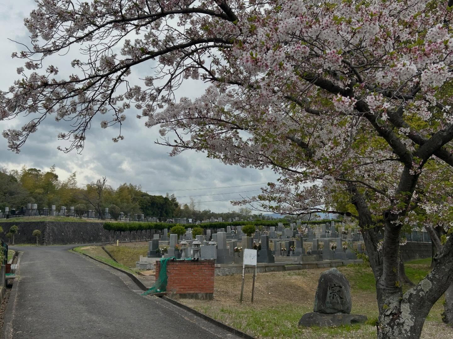 画像538