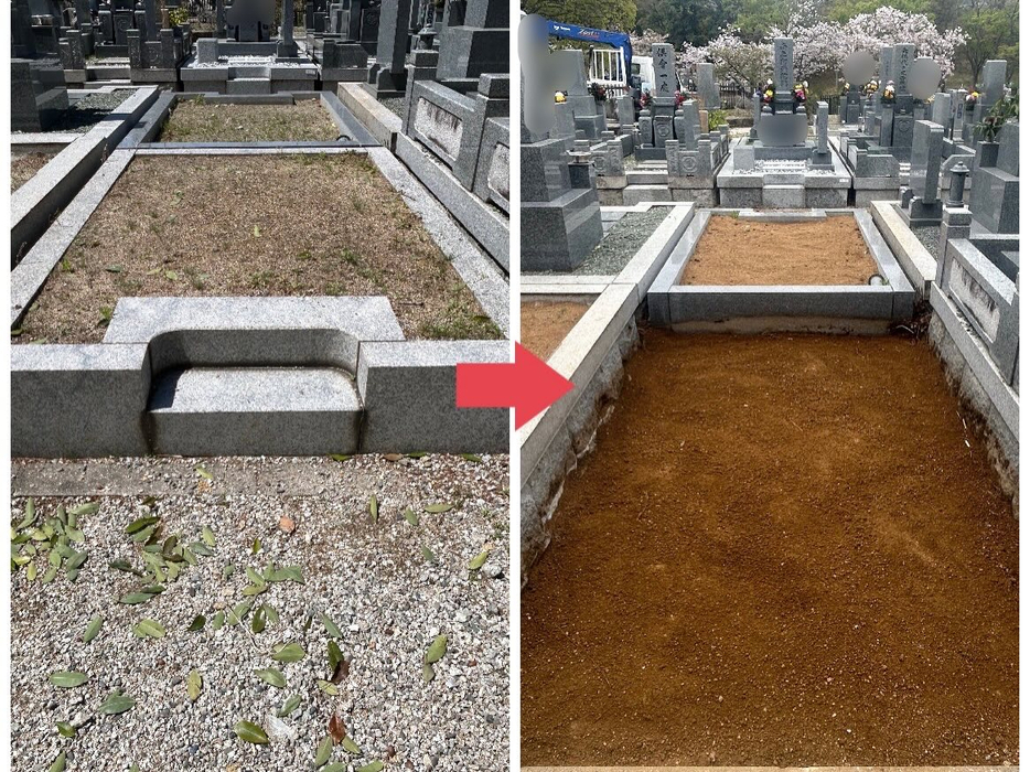 画像539