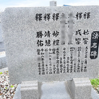画像541