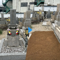 画像556