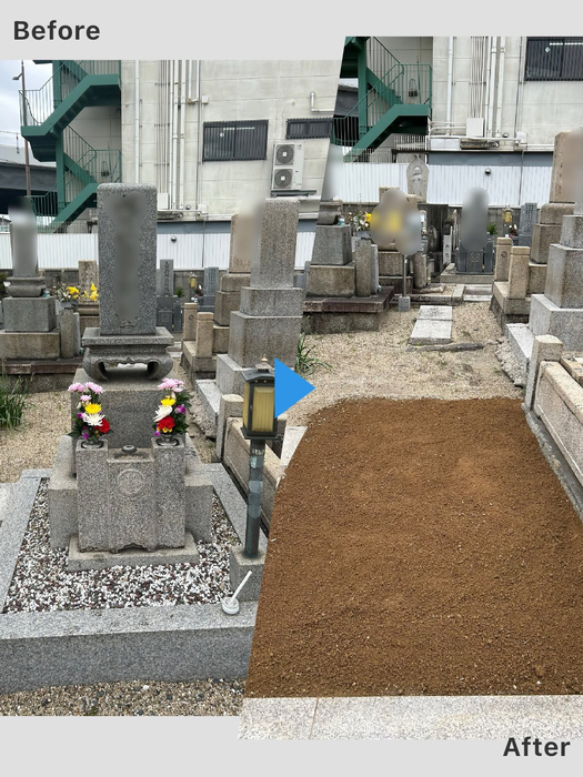 画像556