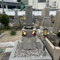 画像558