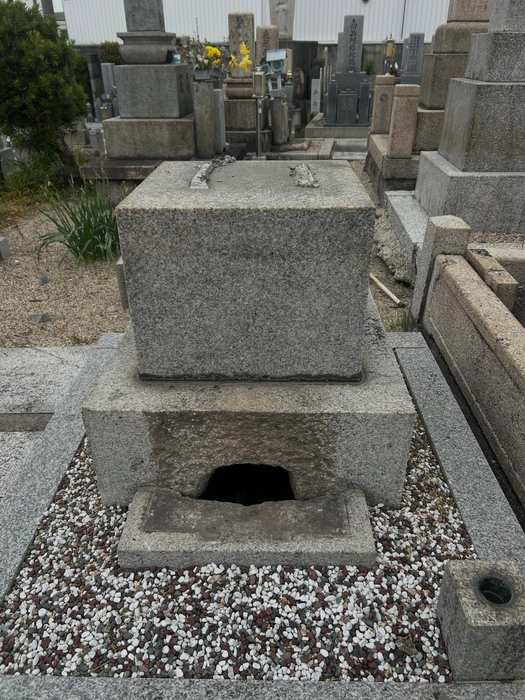 画像560