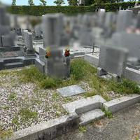 画像596
