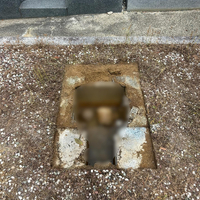 画像664