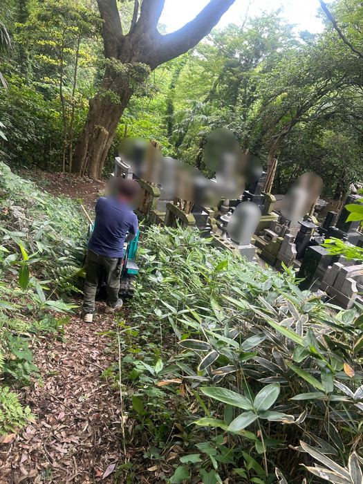 画像695