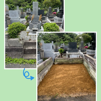 画像724