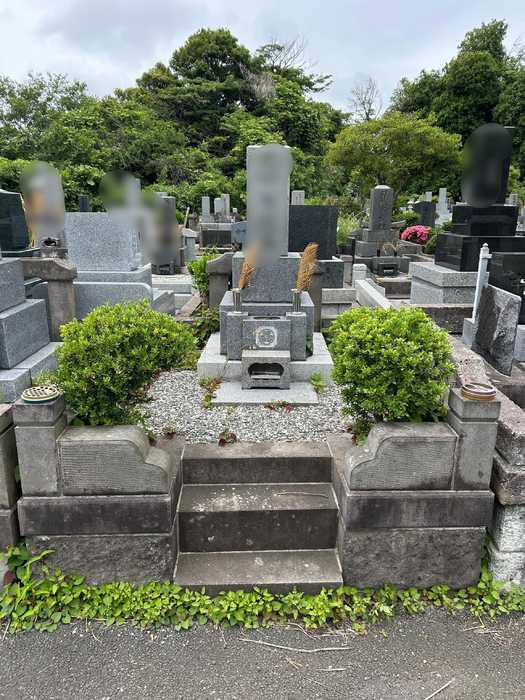 画像725